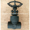 API602 Forged Steel Pressure Seal Thread End NPT Gate Valve